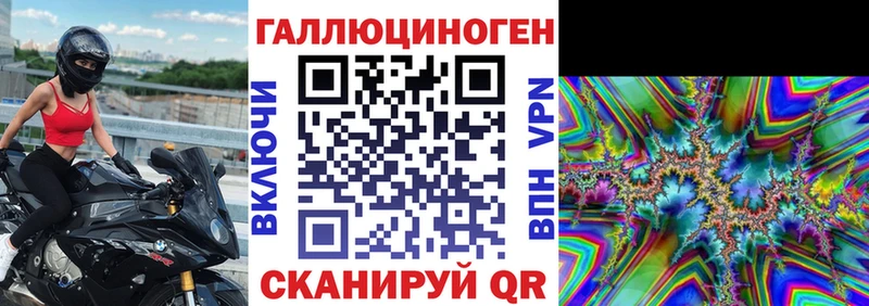 Галлюциногенные грибы Psilocybine cubensis  Александровск-Сахалинский 